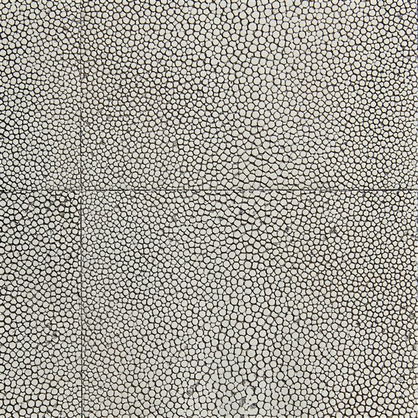 Silverlake Shagreen